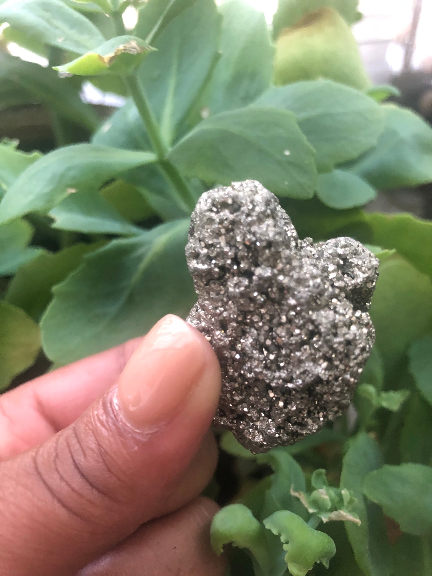 Pyrite “Fools Gold” Crystal