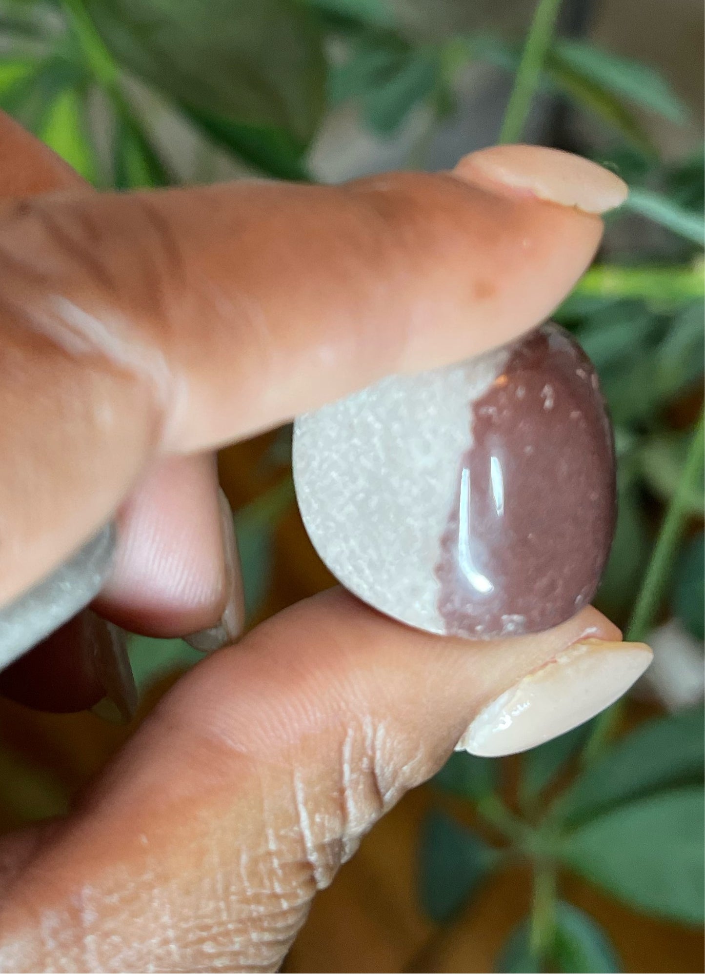 Shiva Lingam