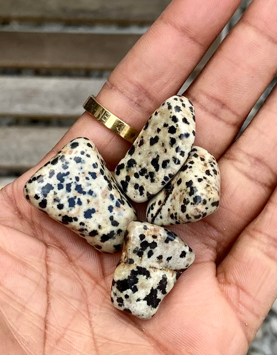 Dalmatian jasper- tumbled