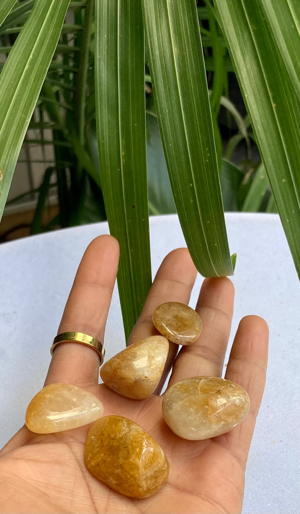 Yellow Aventurine tumbled