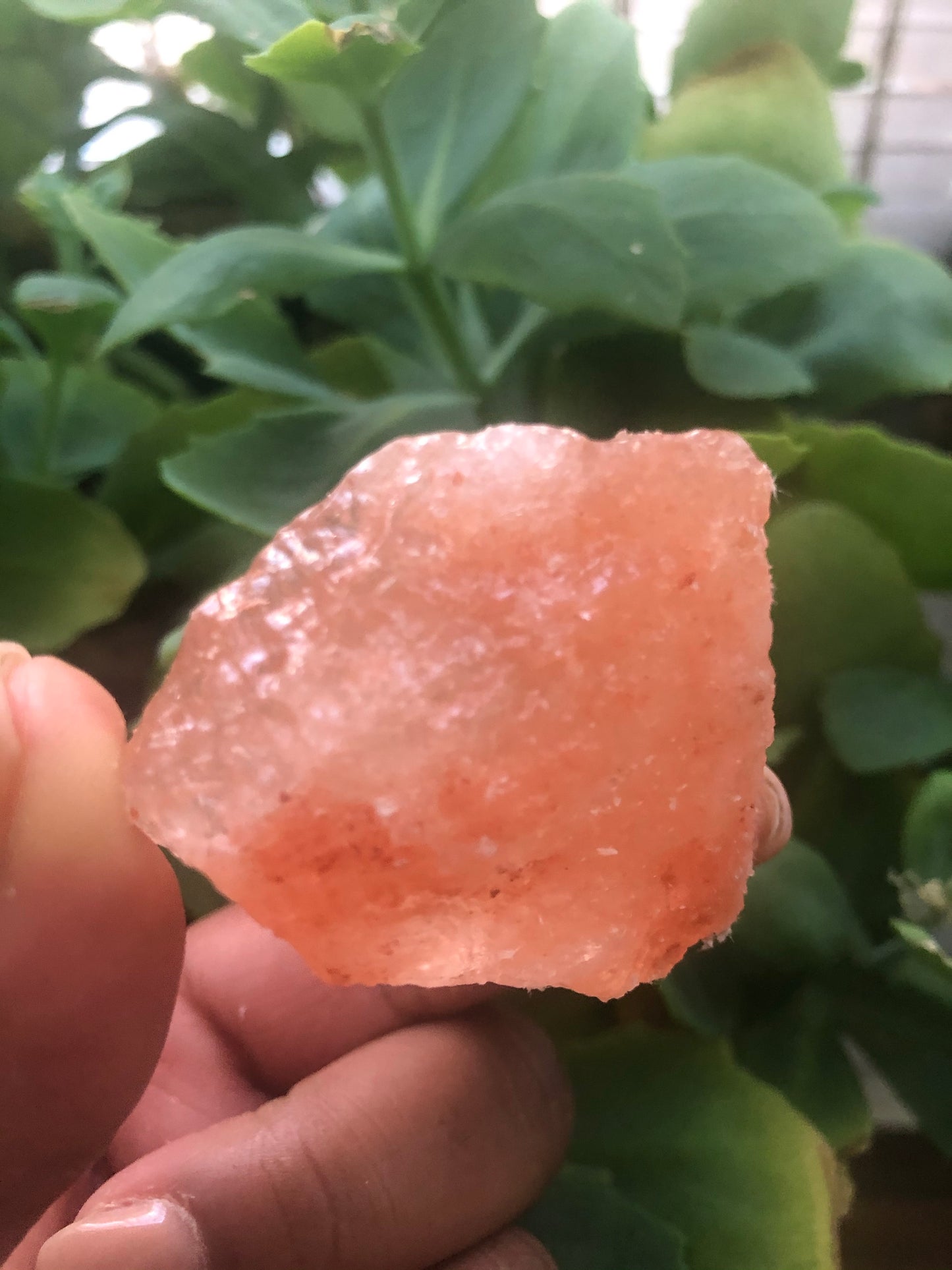 Himalayan Salt Chunks