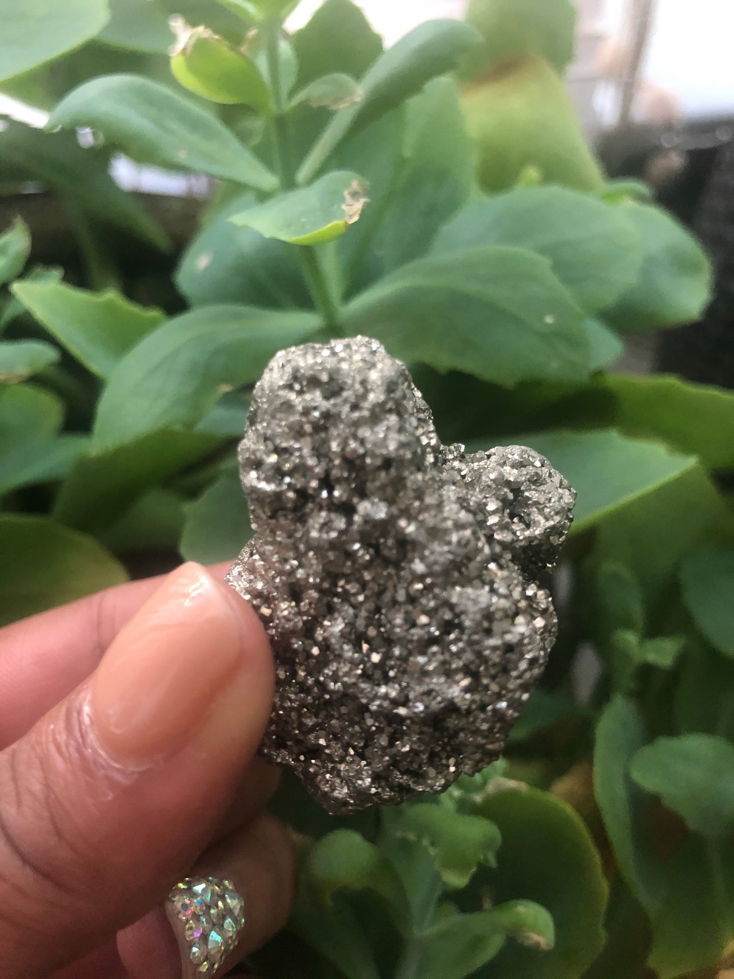 Pyrite “Fools Gold” Crystal