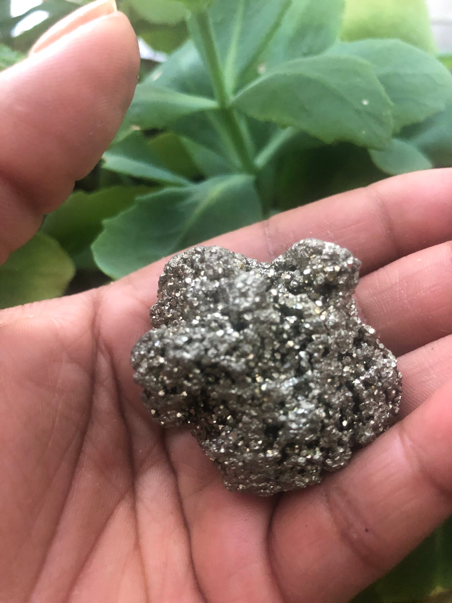 Pyrite “Fools Gold” Crystal