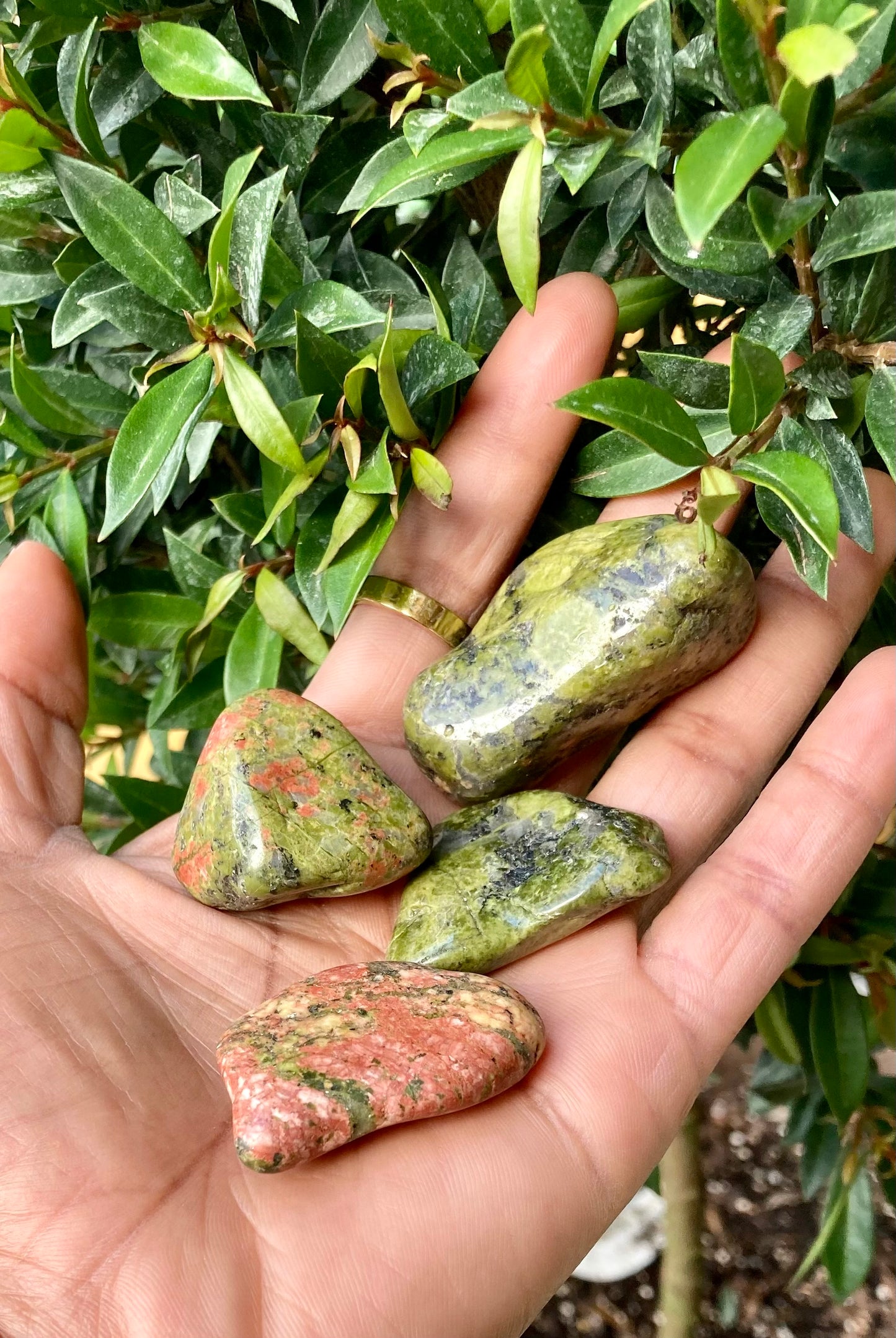Unakite-Large Tumbled stone