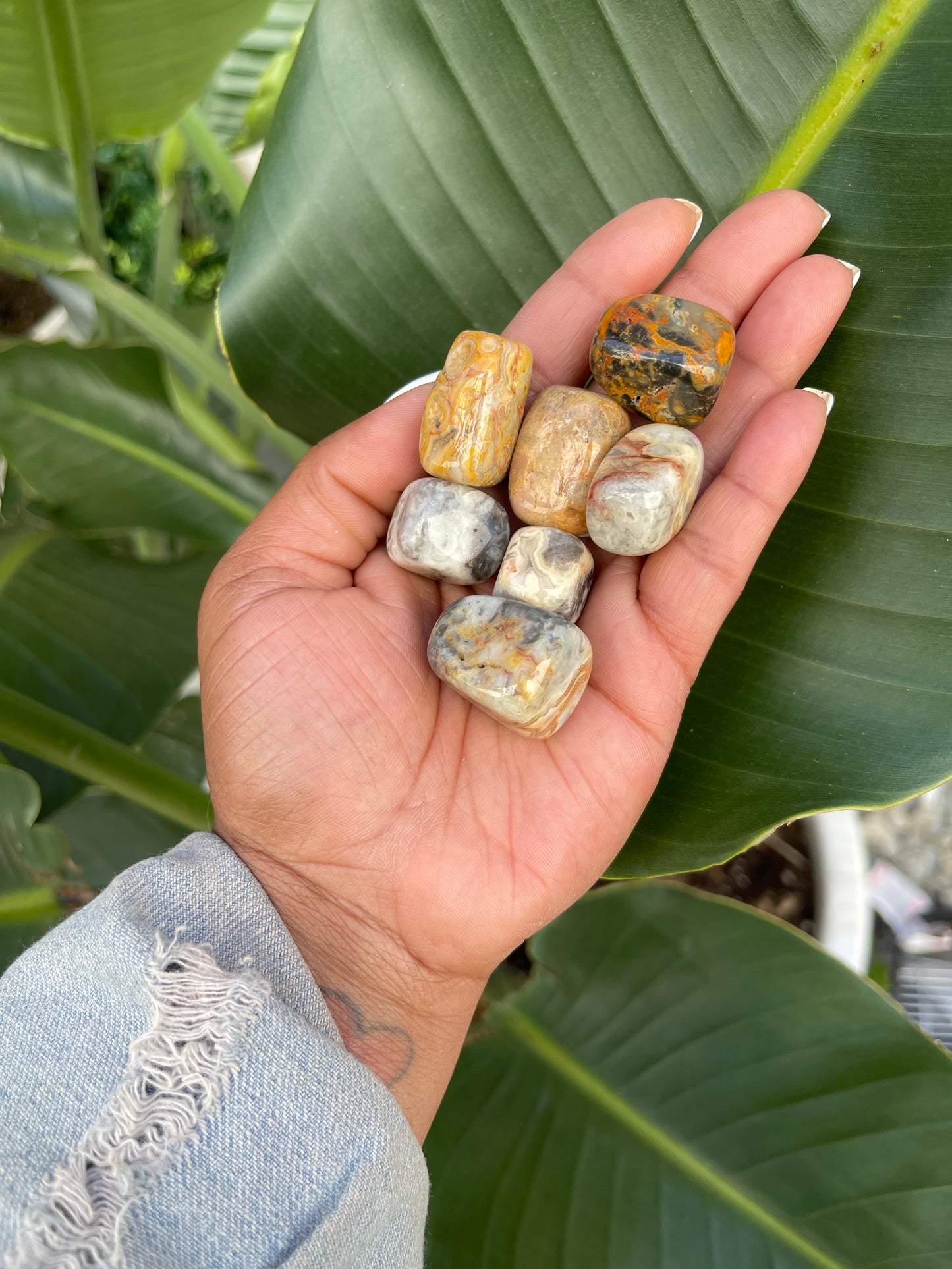 Crazy Lace Agate