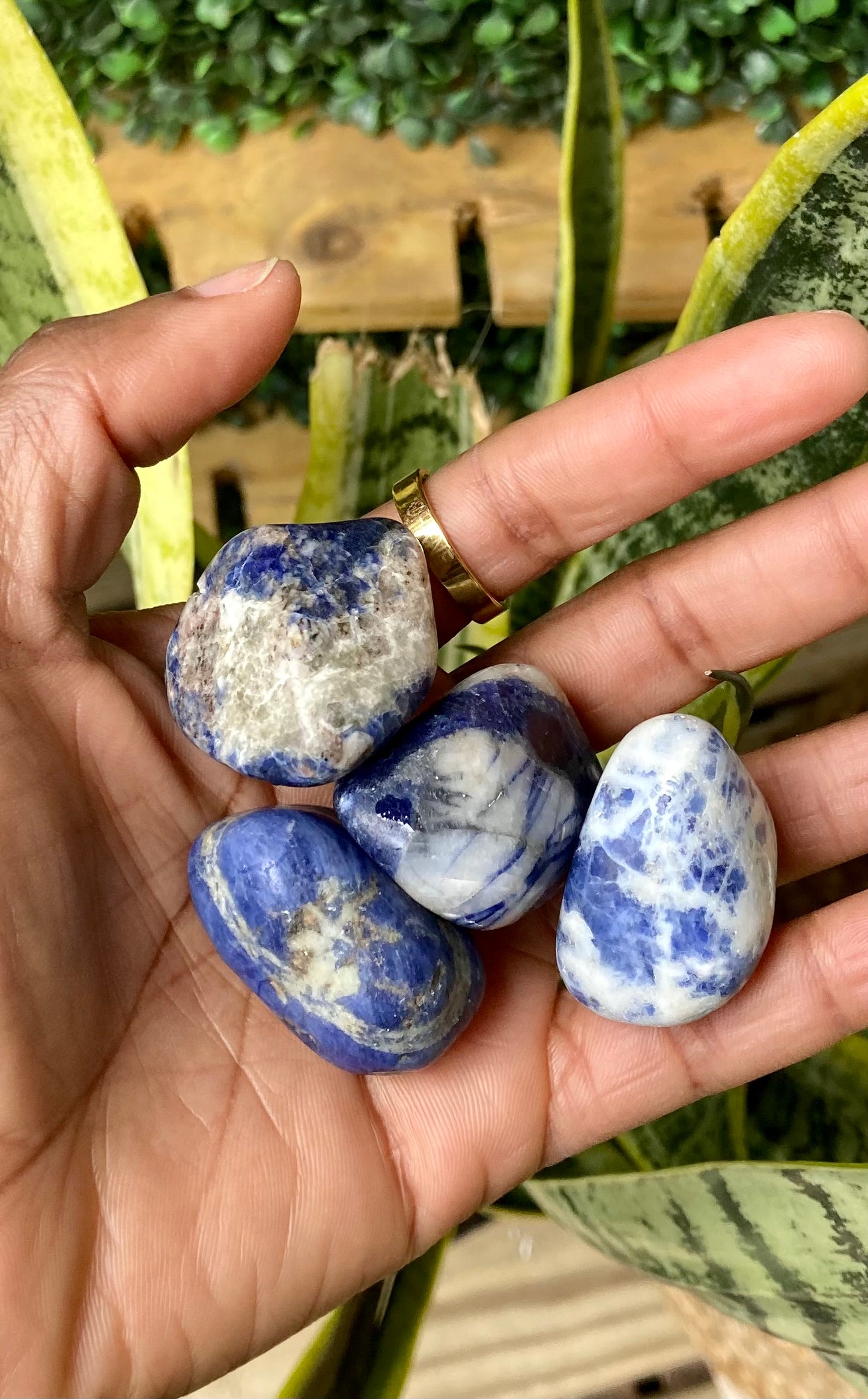 Sodalite tumbled stone