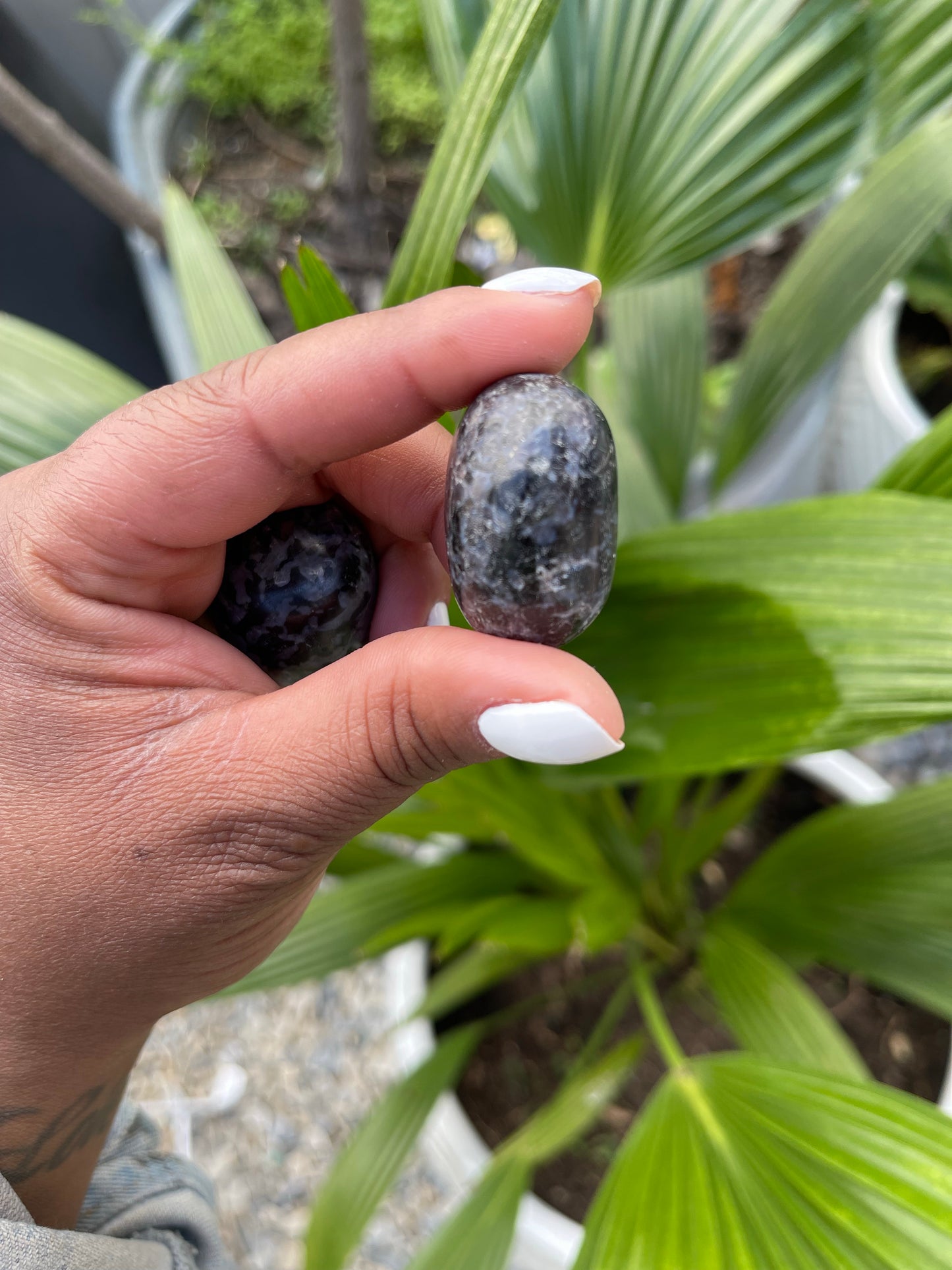 Indigo Gabbro- Large tumbled stone